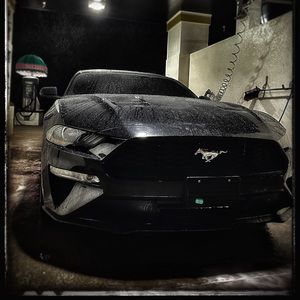 Meet your Posher, Caleb